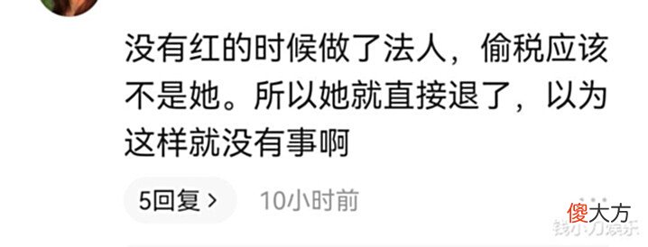 袁冰妍公司不止一次逃税,为什么她不道歉?看评论区就明白了